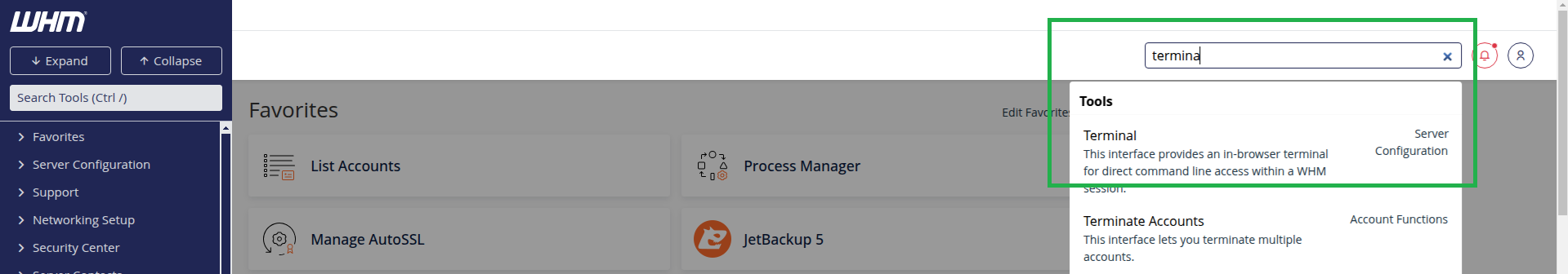 Access Terminal VIA WHM